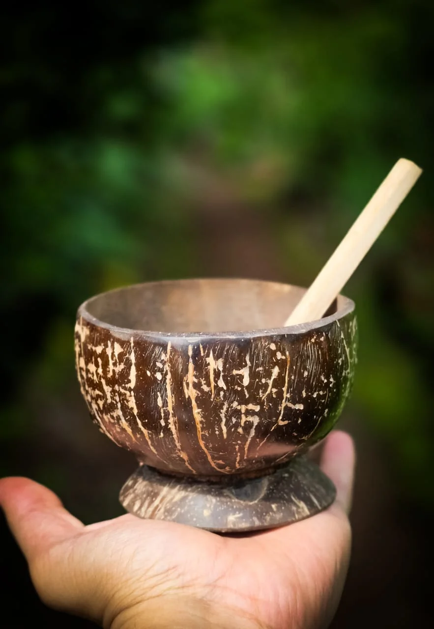 Coconut Shell Bowl with Wooden Spoon