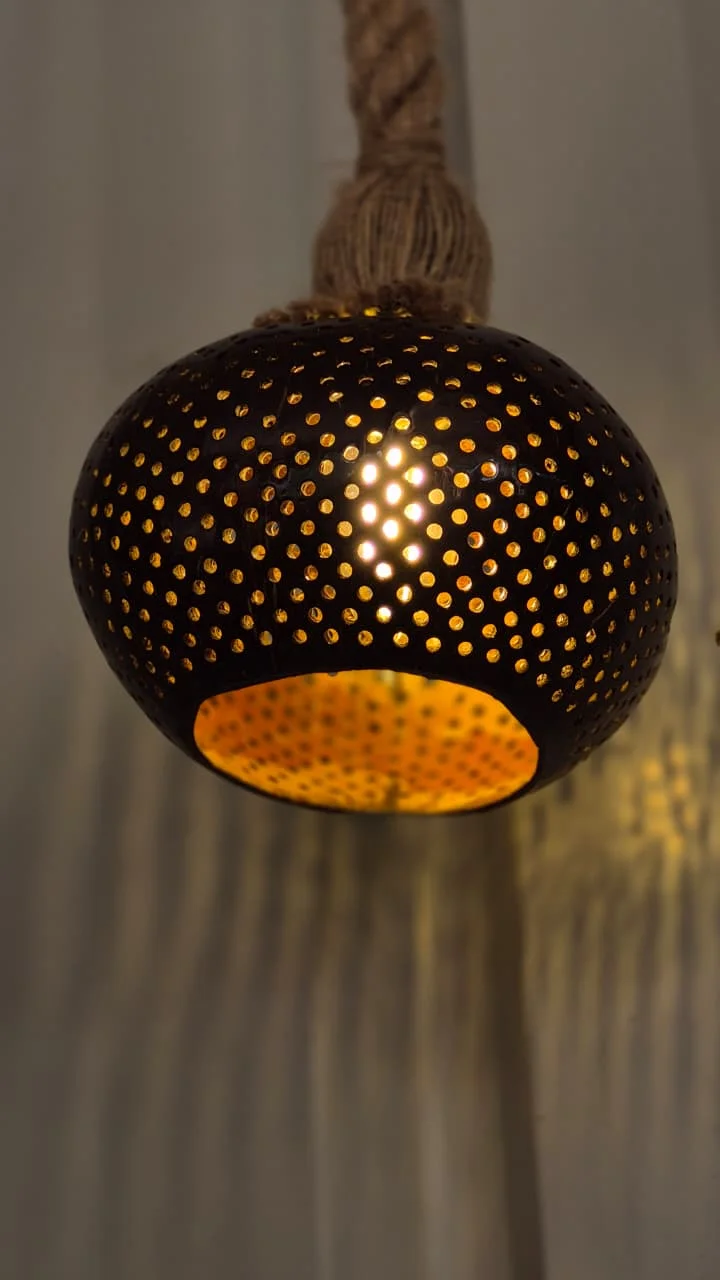 Coconut Shell Hanging Lamp
